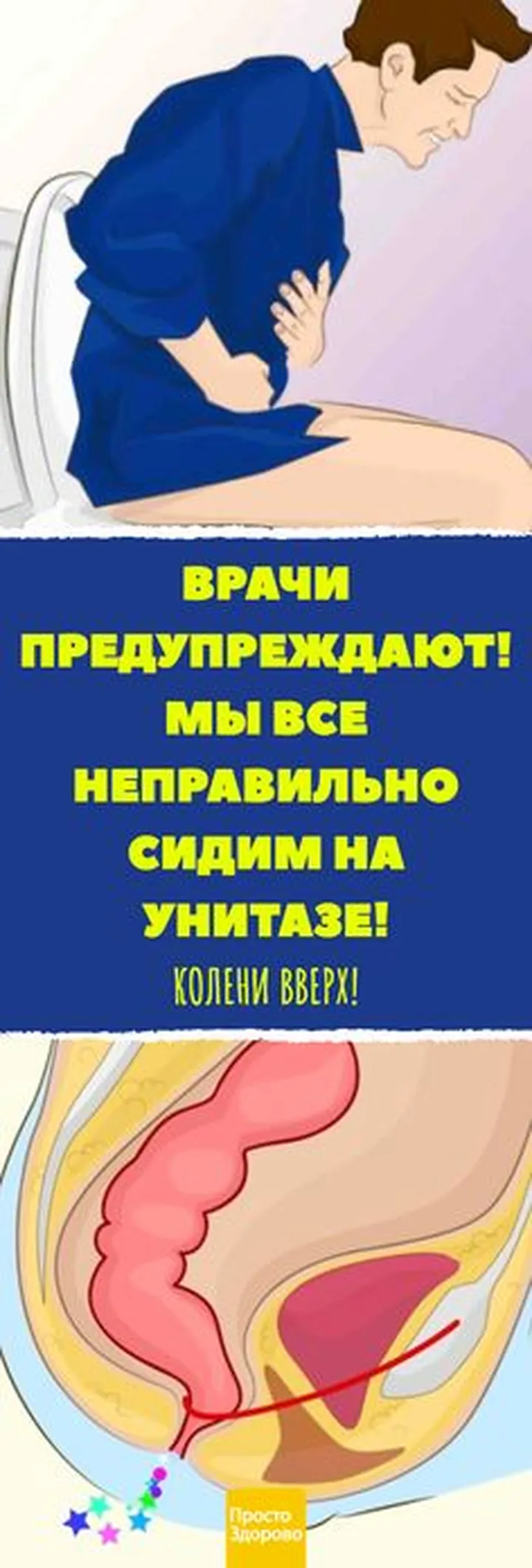 Идеальный стул как индикатор здоровья